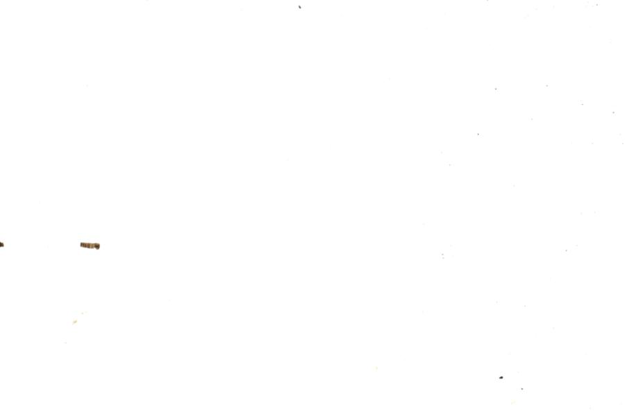 Image 61